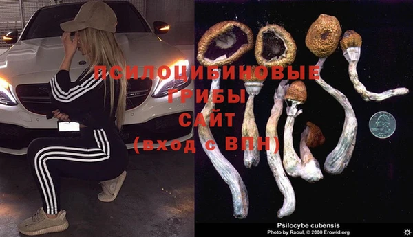 круглые Аркадак